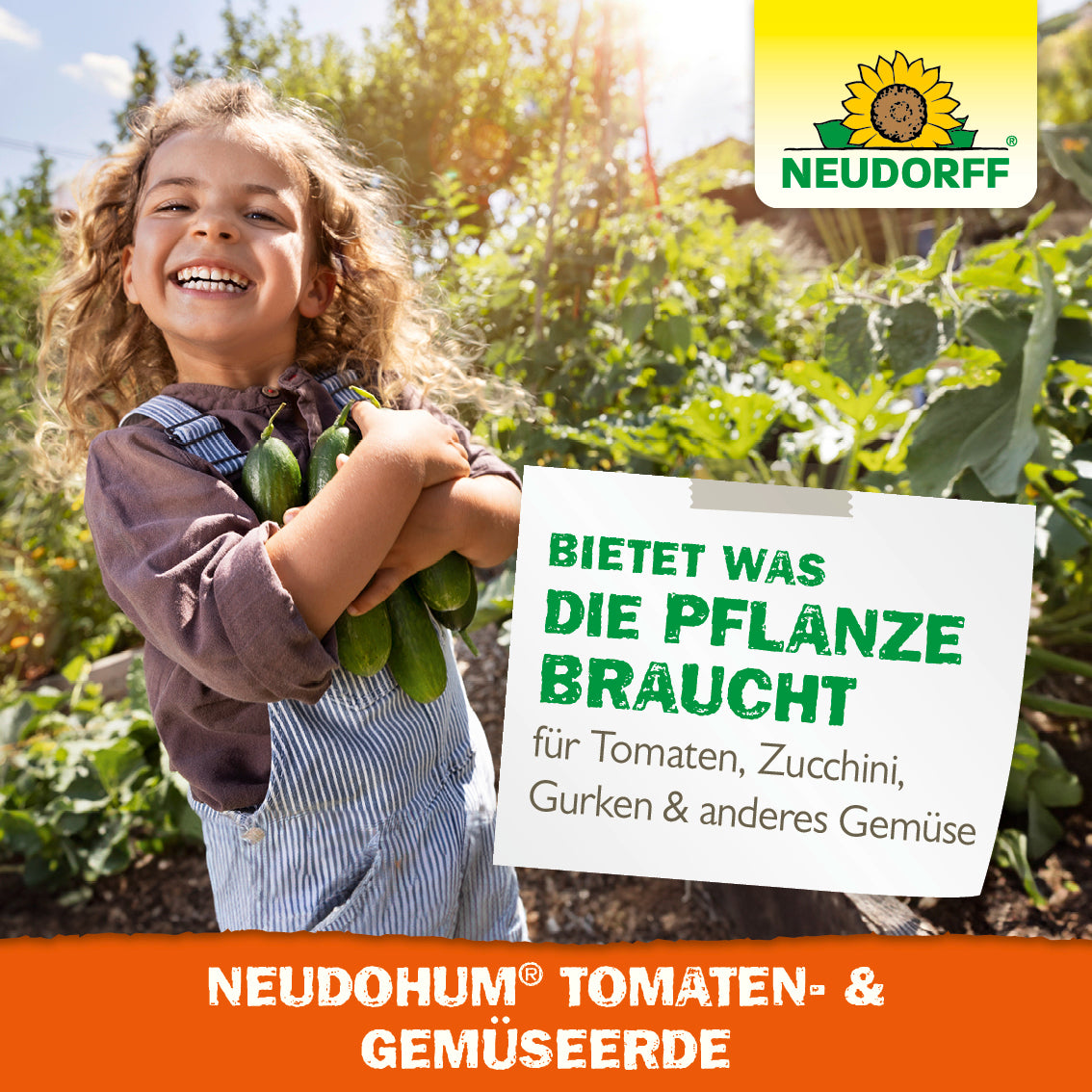 NEUDOHUM Tomaten- und Gemüseerde bietet alles, was die Tomatenpflanze, Zucchinipflanze oder anderes Gemüse braucht