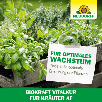 Neudorff BioKraft Vitalkur für Kräuter AF