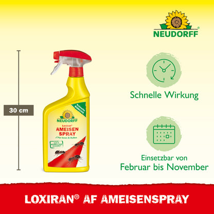 Loxiran AF AmeisenSpray
