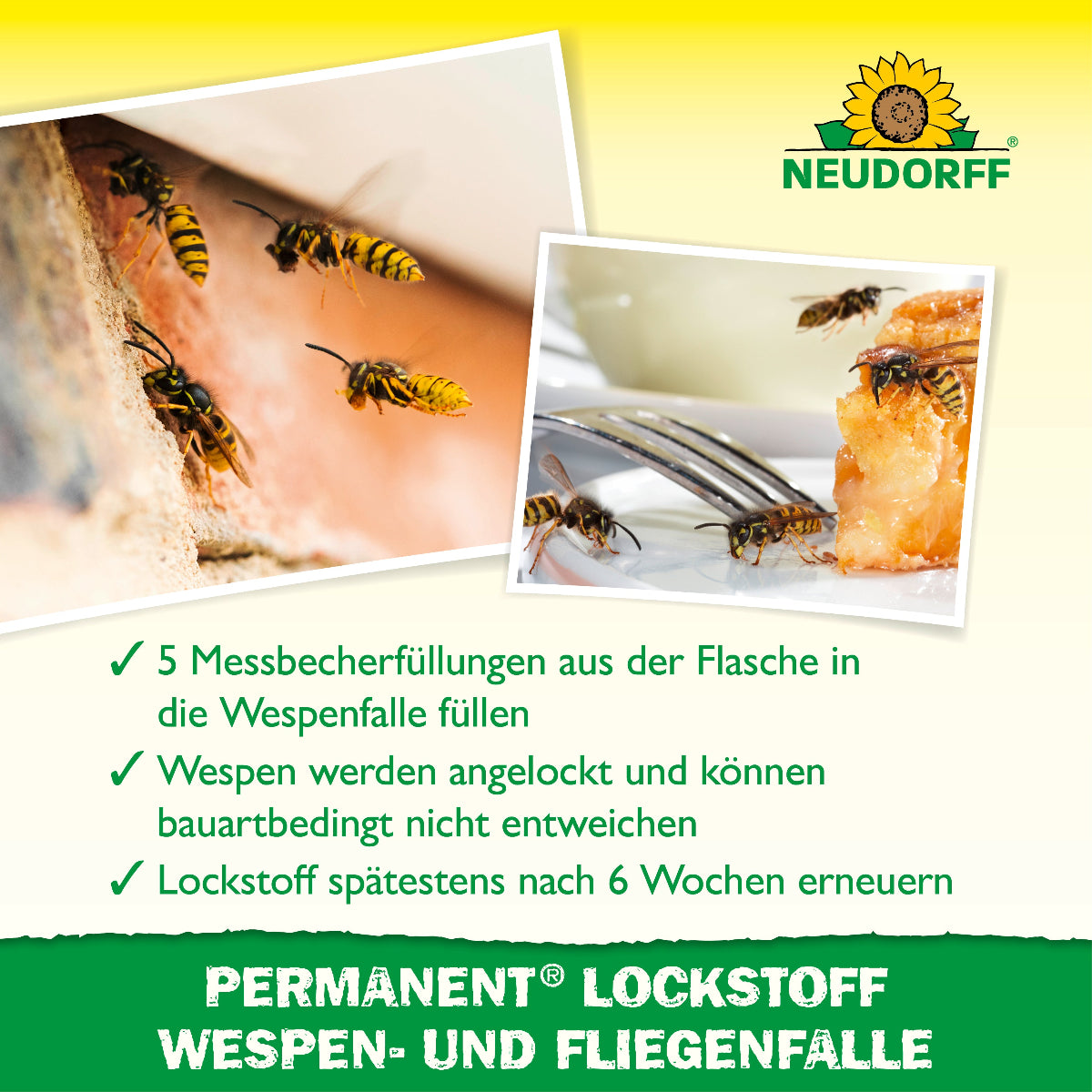 Bilder von Wespen an Hauswand und Kuchen, darunter 3 Punkte zur Funktion und Anwendung des Produktes 