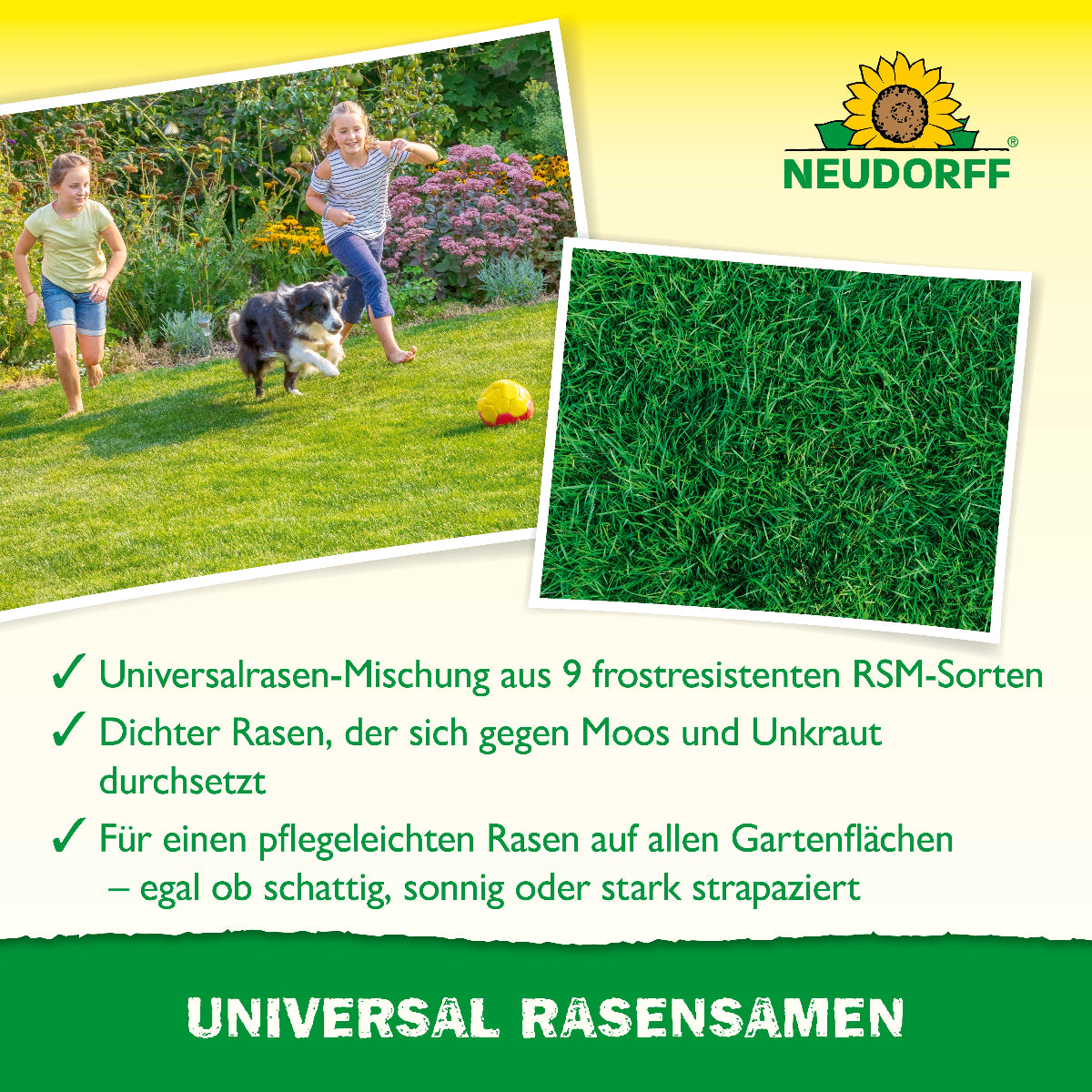 Kinder auf Rasen und darunter Informationen zum Neudorff Universal Rasensamen Produkt wie Universalrasen-Mischung aus 9 frostresistenten RSM-Sorten