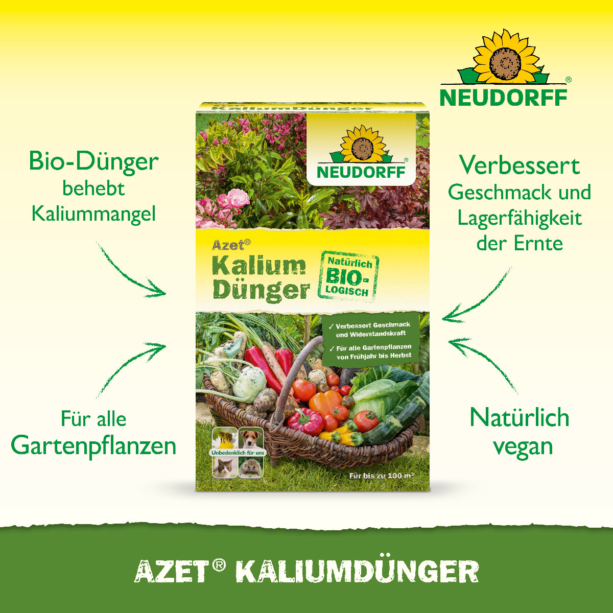 Der natürlich vegane Azet Kaliumdünger von Neudorff behebt einen Kaliummangel an allen Gartenpflanzenarten und verbessert sowohl Geschmack als auch Lagerfähigkeit der Ernte
