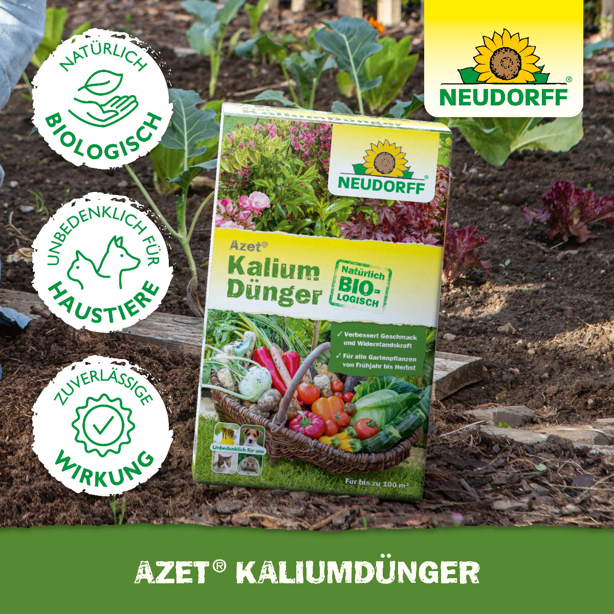 Dein Gemüse schmeckt wenig aromatisch und wächst schlecht? Mit dem natürlich biologischen Azet KaliumDünger stärkst du die Widerstandsfähigkeit deiner Pflanzen gegen Frost und Hitze und sorgst für ein Plus an Aroma