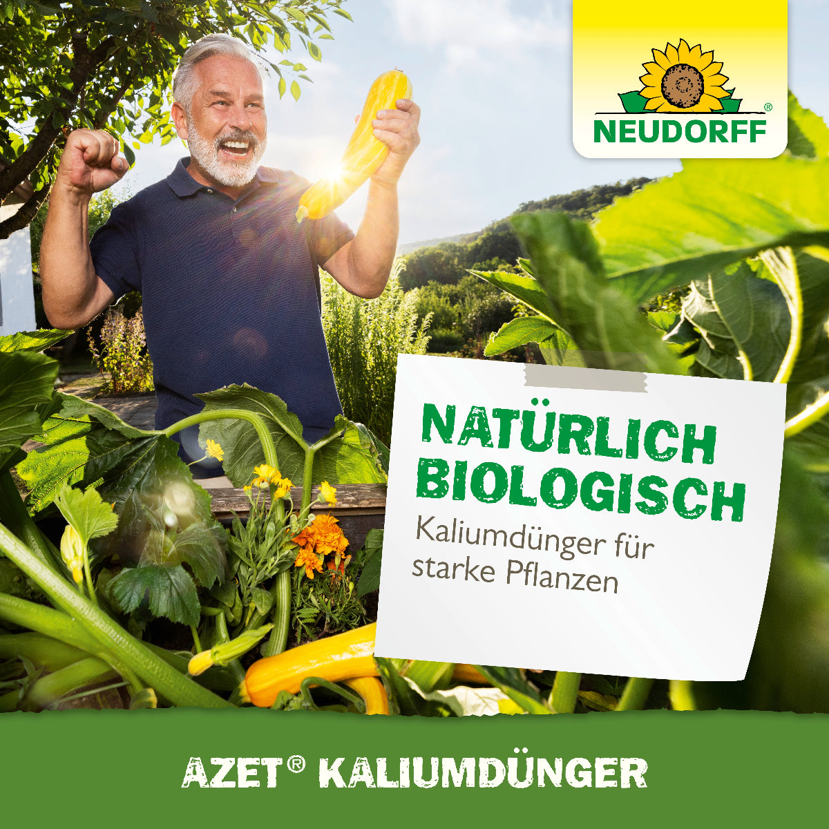 Kaliumdünger wie der Azet Kaliumdünger von Neudorff ist die natürliche Stärkung für Pflanzen für mehr Widerstandfähigkeit gegen Trockenheit und Frost und sorgt für ein besseres Aroma und gesteigerte Lagerfähigkeit der Ernte
