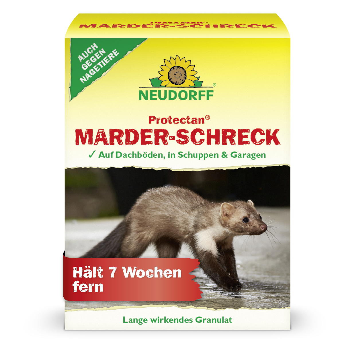 Laut Verpackung von Protectan Marder-Schreck von Neudorff hält das Produkt Marder und Nagetiere bis zu 7 Wochen auf Dachböden. in Schuppen und Garagen fern