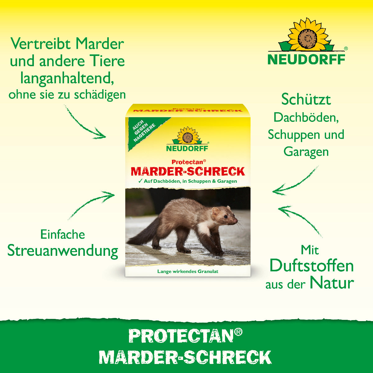 Neudorff Protectan Marder-Schreck zur Marderabwehr auf Dachböden, in Schuppen und Garagen – langanhaltende Wirkung mit natürlichen Duftstoffen und einfacher Streuanwendung