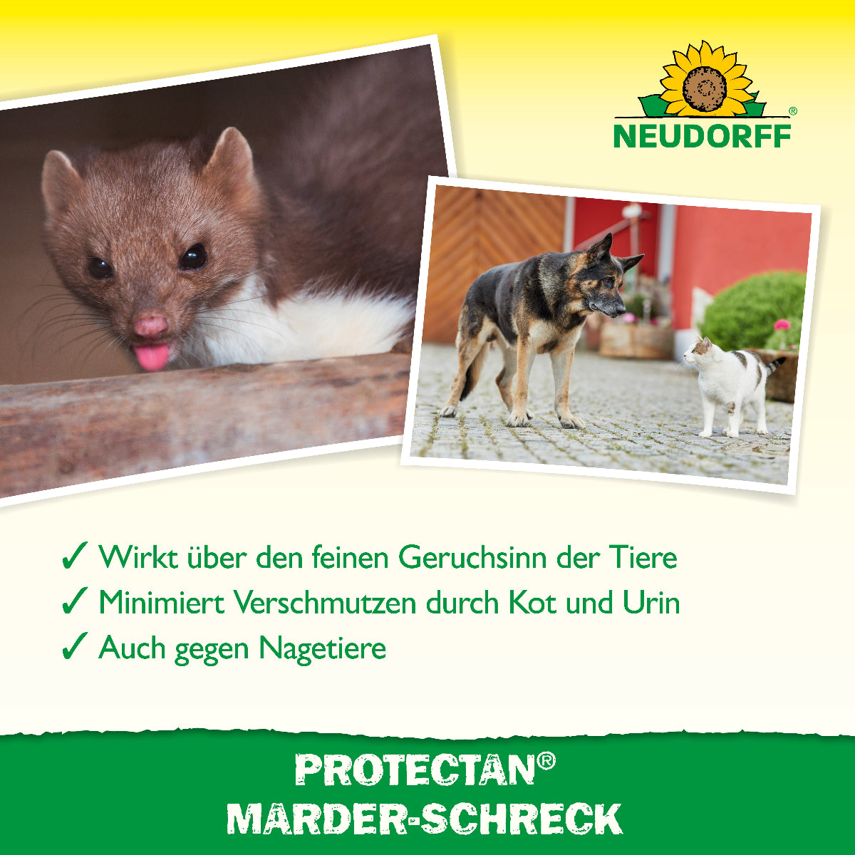 Protectan® Marder-Schreck von Neudorff wirkt über den feinen Geruchssinn der Tiere und minimiert Verschmutzen durch Kot und Urin