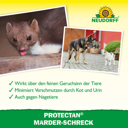 Protectan® Marder-Schreck von Neudorff wirkt über den feinen Geruchssinn der Tiere und minimiert Verschmutzen durch Kot und Urin