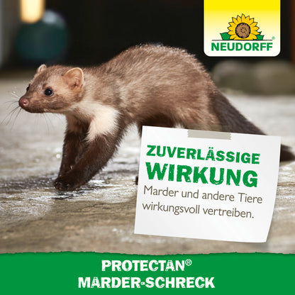 Protectan Marder-Schreck von Neudorff ist laut Bild mit Marder die zuverlässige Wirkung, um Marder und andere Tiere wirkungsvoll zu vertreiben