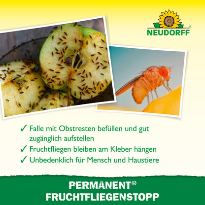 Permanent FruchtfliegenStopp