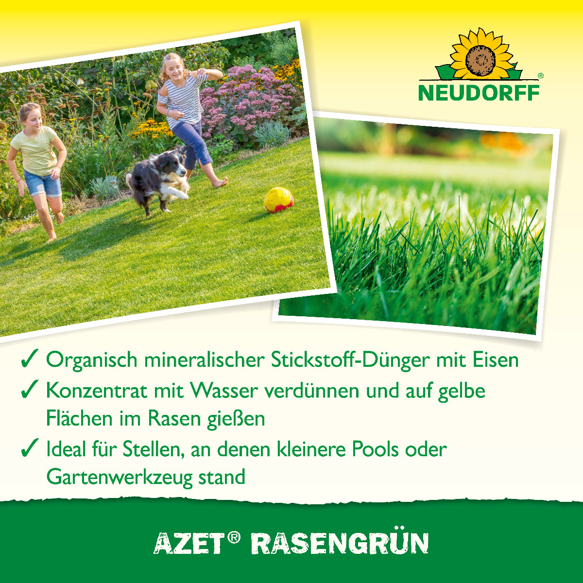 2 Bilder mit Rasen und darunter Fakten wie organisch mineralischer Stickstoff-Dünger mit Eisen zu Azet RasenGrün
