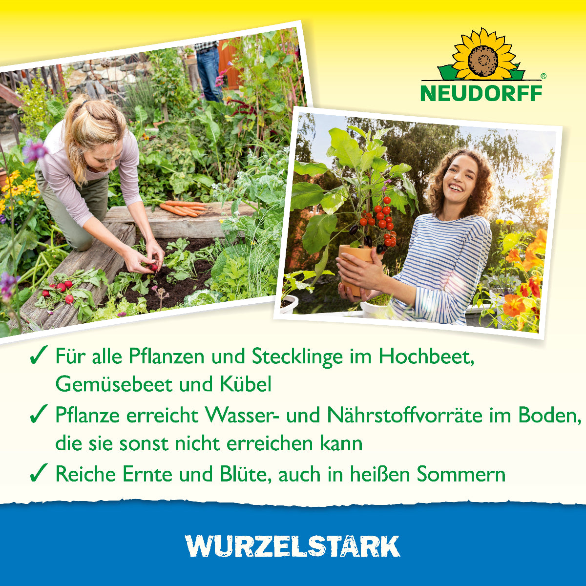 Dank Wurzelstark von Neudorff erreicht die Pflanze Wasser- und Nährstoffvorräte im Boden, die sie sonst nicht erreichen kann