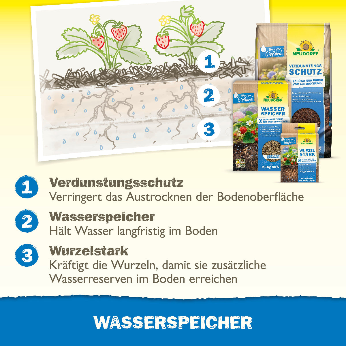 Verdunstungsschutz (verringert das Austrocknen der Bodenoberfläche), Wasserspeicher (hält Wasser langfristig im Boden) und Wurzelstark (kräftigt die Wurzeln, damit sie zusätzliche Wasserreserven im Boden erreichen)