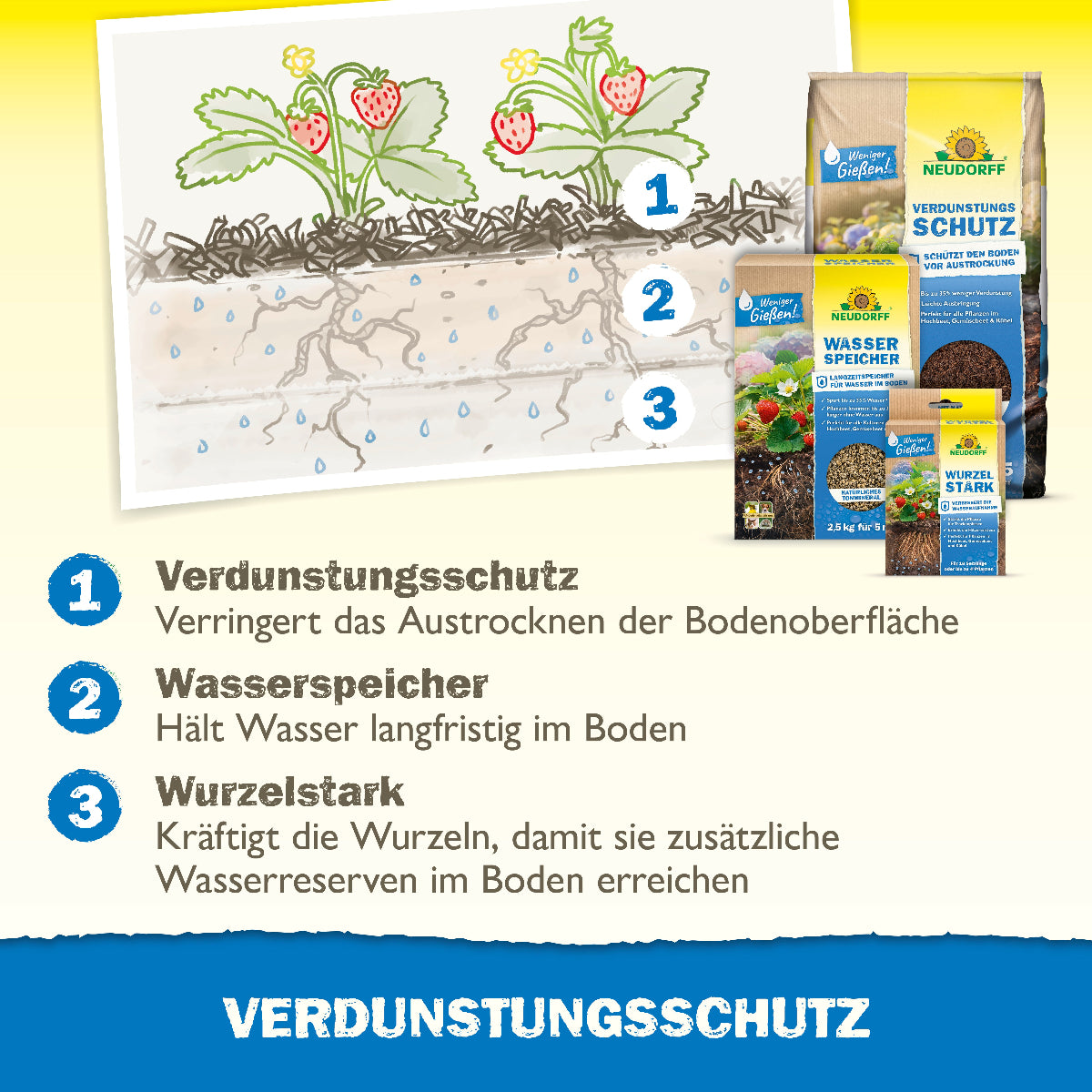 Neudorff Produkte zum Verdunstungsschutz von Pflanzen sind der Neudorff Verdunstungsschutz, der Wasserspeicher und Wurzelstark