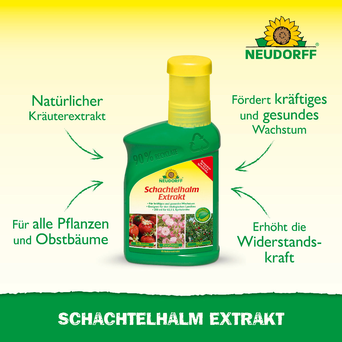 Du suchst nach einem natürlichen Dünger für deine Pflanzen? Neudorff Schachtelhalm Extrakt erhöht dank einem hohen Gehalt an Kieselsäure die Widerstandskraft deiner Pflanzen