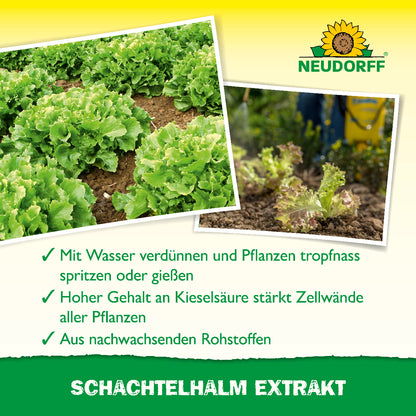 Du suchst einen natürlichen Dünger für deine Pflanzen? Dann ist der Neudorff Schachtelhalm Extrakt mit einem hohen Gehalt an Kieselsäure genau das Richtige!