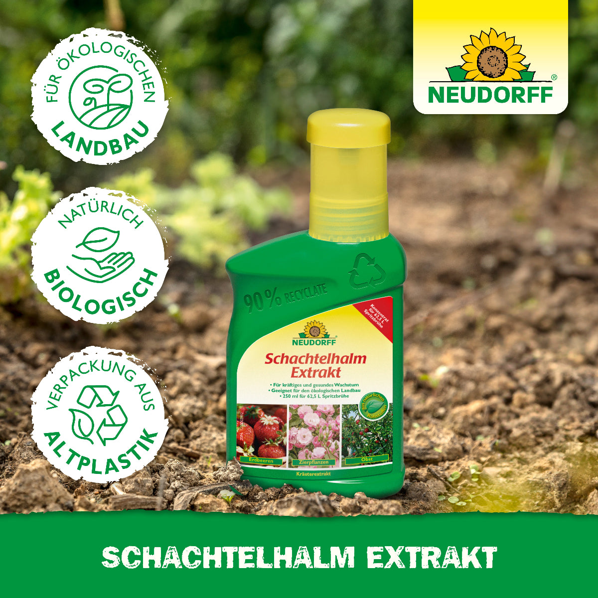 Zur natürlichen Bekämpfung von Schachtelhalm, natürlich biologisch und für den ökologischen Anbau geeignet: Schachtelhalm Extrakt von Neudorff