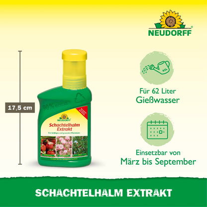 Schachtelhalm Extrakt