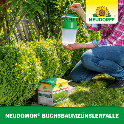 Neudomon BuchsbaumzünslerFalle