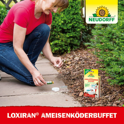 Loxiran AmeisenköderBuffet