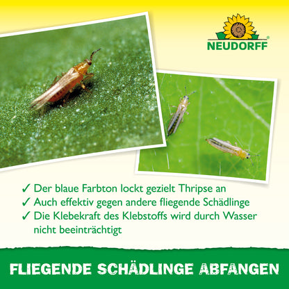 Blau-Sticker