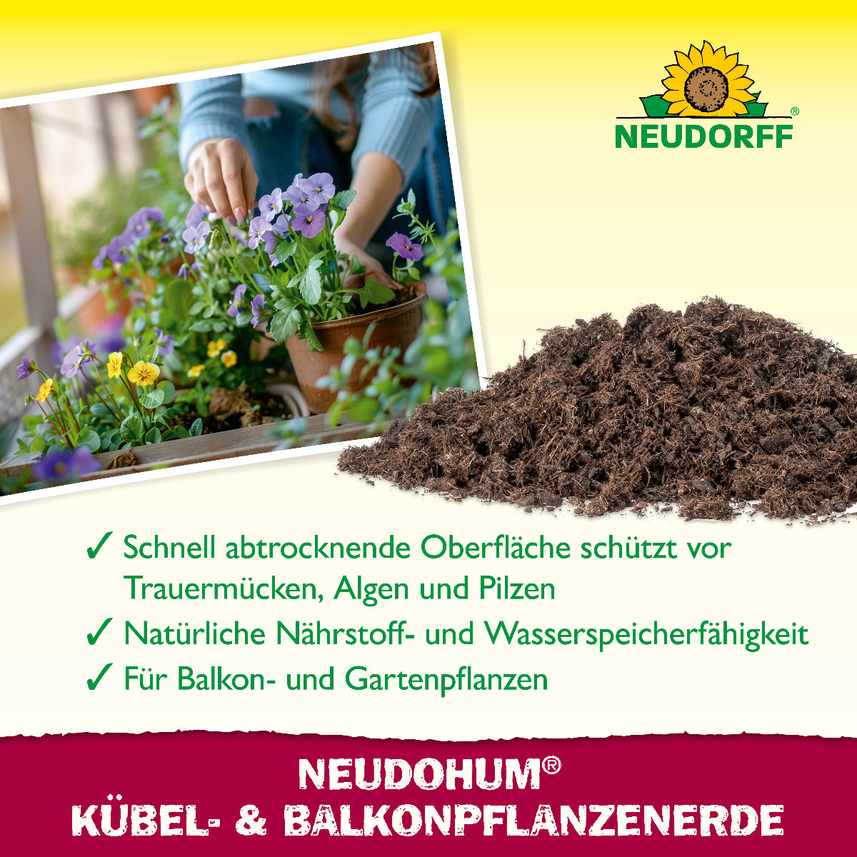 Bild von Toppflanzen und eine Abbildung von der Erde, darunter 3 Punkte zur Funktion und Anwendung des Produktes