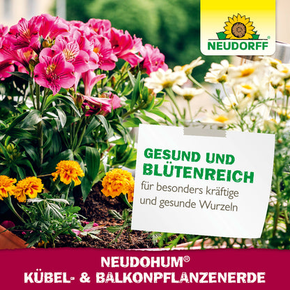 Bild von Blumen und Informationen für gesunde und blütenreiche Pflanzen mit besonders kräftigen Wurzeln 