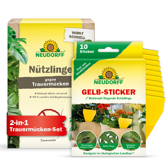 Trauermücken-Set
