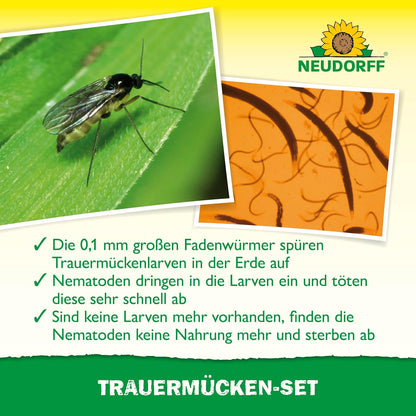 Trauermücke und Nematoden zur biologischen Bekämpfung von Trauermückenlarven in der Blumenerde.
