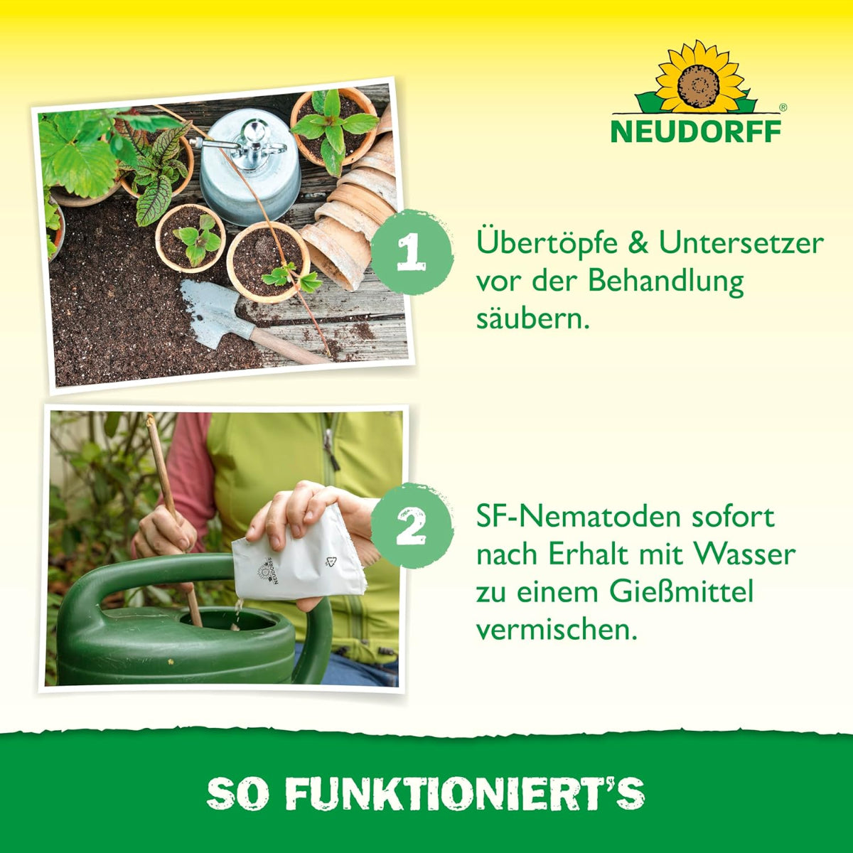 Vorbereitung und Anmischen der SF-Nematoden zur Bekämpfung von Trauermückenlarven.