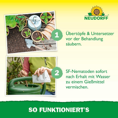 Vorbereitung und Anmischen der SF-Nematoden zur Bekämpfung von Trauermückenlarven.