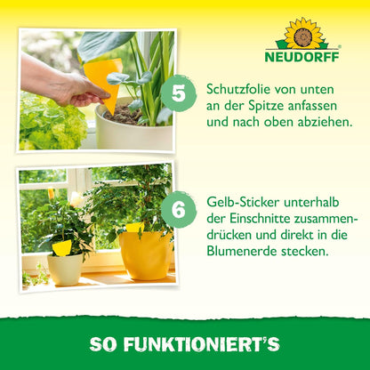 Anwendung der Gelb-Sticker: Schutzfolie entfernen und die Sticker direkt in die Blumenerde von Zimmerpflanzen stecken, um Trauermücken anzulocken und zu fangen.