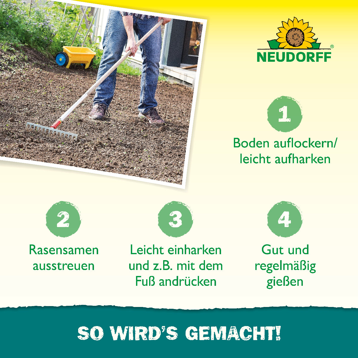 Neudorff Nachsaat Rasensamen mit Mantelsaat, die Wasser speichert und gleichzeitig vor Überwässerung schützt –für einen sattgrünen, vollen und gesunden Rasen