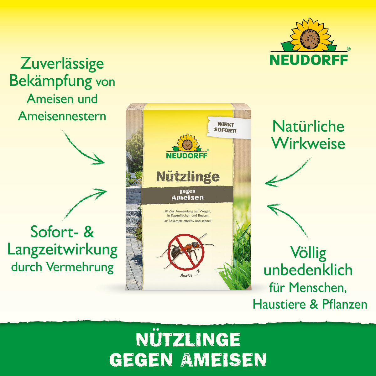 Nützlinge gegen Ameisen von Neudorff zur zuverlässigen Bekämpfung von Ameisen und Ameisennestern