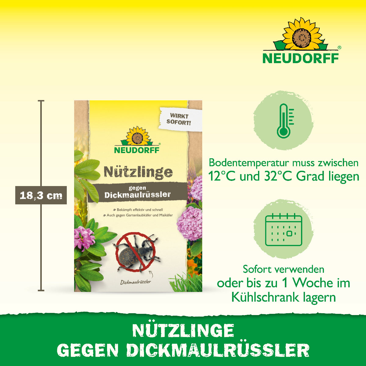 Du brauchst eine natürliche Lösung, um Dickmaulrüssler oder Maikäfer loszuwerden? Mit Nematoden bzw. Nützlingen gegen Dickmaulrüssler von Neudorf bekämpft man auf natürliche Wirkweise Dickmaulrüssler-Larven sowie Engerlinge von Maikäfern und Gartenlaubkäfer