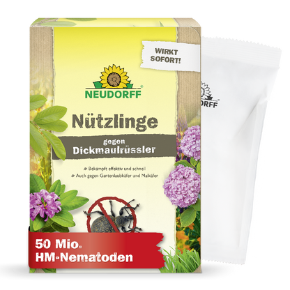 Du willst Dickmaulrüssler oder Maikäfer natürlich bekämpfen? Mit Nematoden bzw. Nützlingen gegen Dickmaulrüssler von Neudorf bekämpft man  Dickmaulrüssler-Larven sowie Engerlinge von Maikäfern und Gartenlaubkäfern ganz natürlich und wirksam