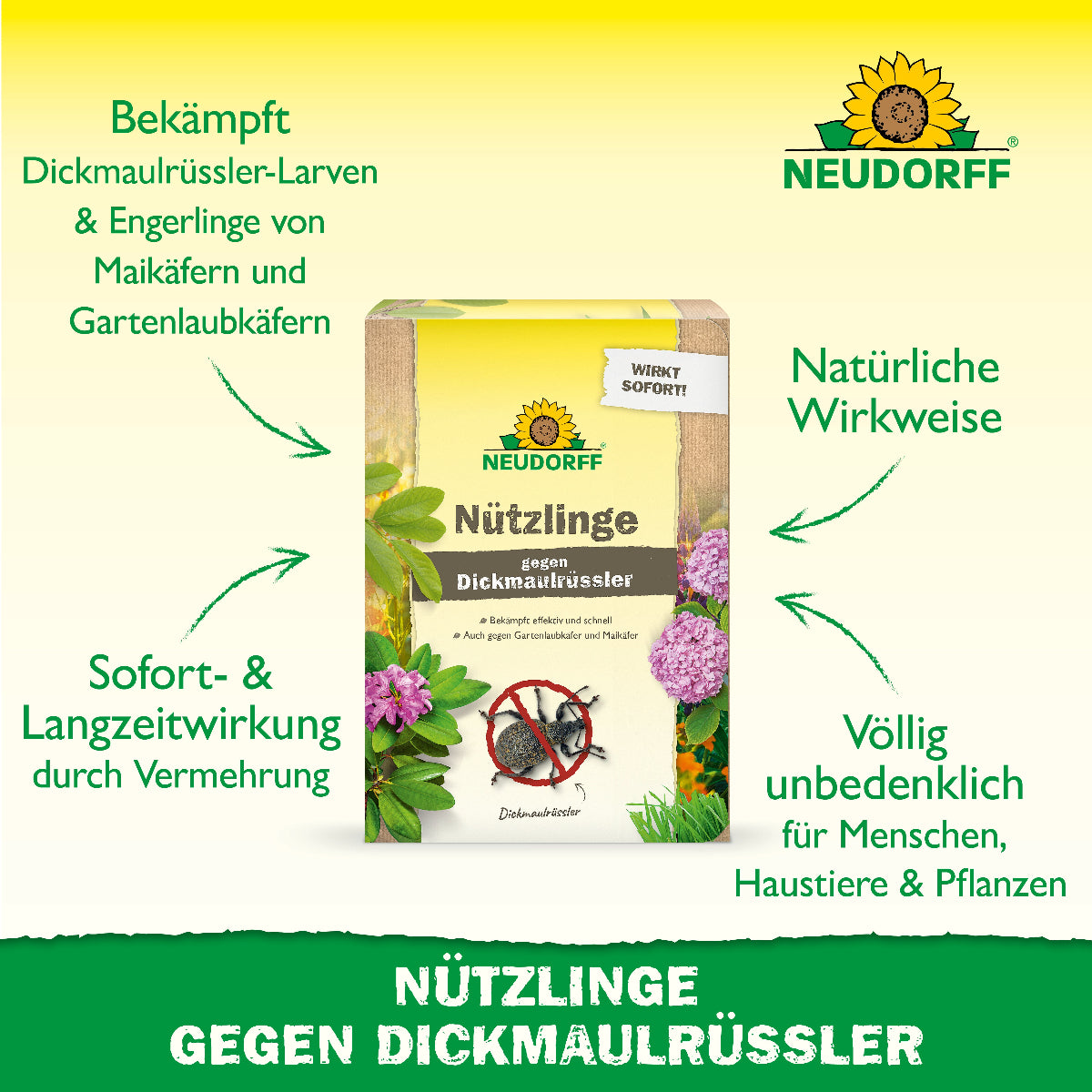 Mit Nematoden bzw. Nützlingen gegen Dickmaulrüssler von Neudorf bekämpft man auf natürliche Wirkweise Dickmaulrüssler-Larven sowie Engerlinge von Maikäfern und Gartenlaubkäfern mit Sofort- und Langzeitwirkung durch Vermehrung