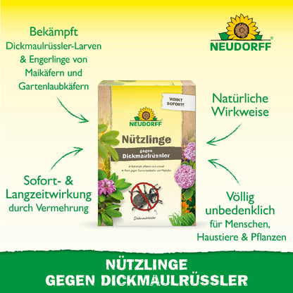 Mit Nematoden bzw. Nützlingen gegen Dickmaulrüssler von Neudorf bekämpft man auf natürliche Wirkweise Dickmaulrüssler-Larven sowie Engerlinge von Maikäfern und Gartenlaubkäfern mit Sofort- und Langzeitwirkung durch Vermehrung