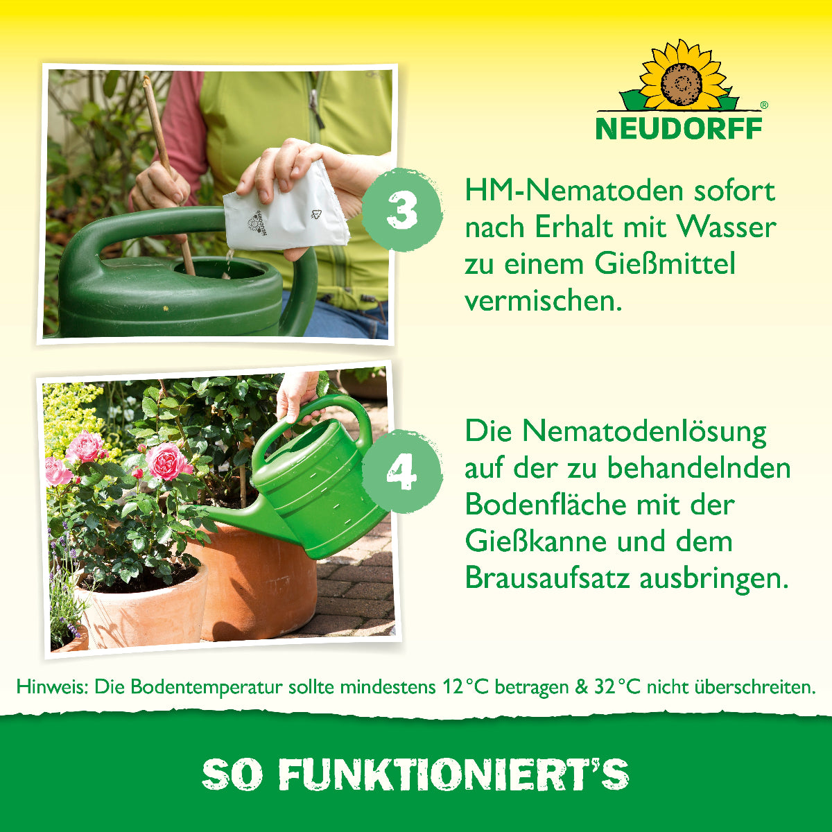 Wie wendet man Nützlinge gegen Dickmaulrüssler an? Die Nützlinge gegen Dickmaulrüssler von Neudorf sofort nach Erhalt mit Wasser zu einem Gießmittel mischen und die Nematodenlösung bei Bodentemperaturen zwischen 12 und 32 Grad mit einer Gießkanne ausbringen