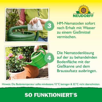 Wie wendet man Nützlinge gegen Dickmaulrüssler an? Die Nützlinge gegen Dickmaulrüssler von Neudorf sofort nach Erhalt mit Wasser zu einem Gießmittel mischen und die Nematodenlösung bei Bodentemperaturen zwischen 12 und 32 Grad mit einer Gießkanne ausbringen