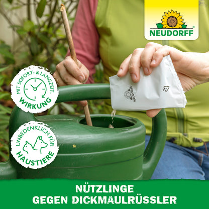 Sofort- und Langzeitwirkung: Mit Nematoden bzw. Nützlingen gegen Dickmaulrüssler von Neudorf bekämpft man auf natürliche Wirkweise Dickmaulrüssler-Larven sowie Engerlinge von Maikäfern und Gartenlaubkäfern 