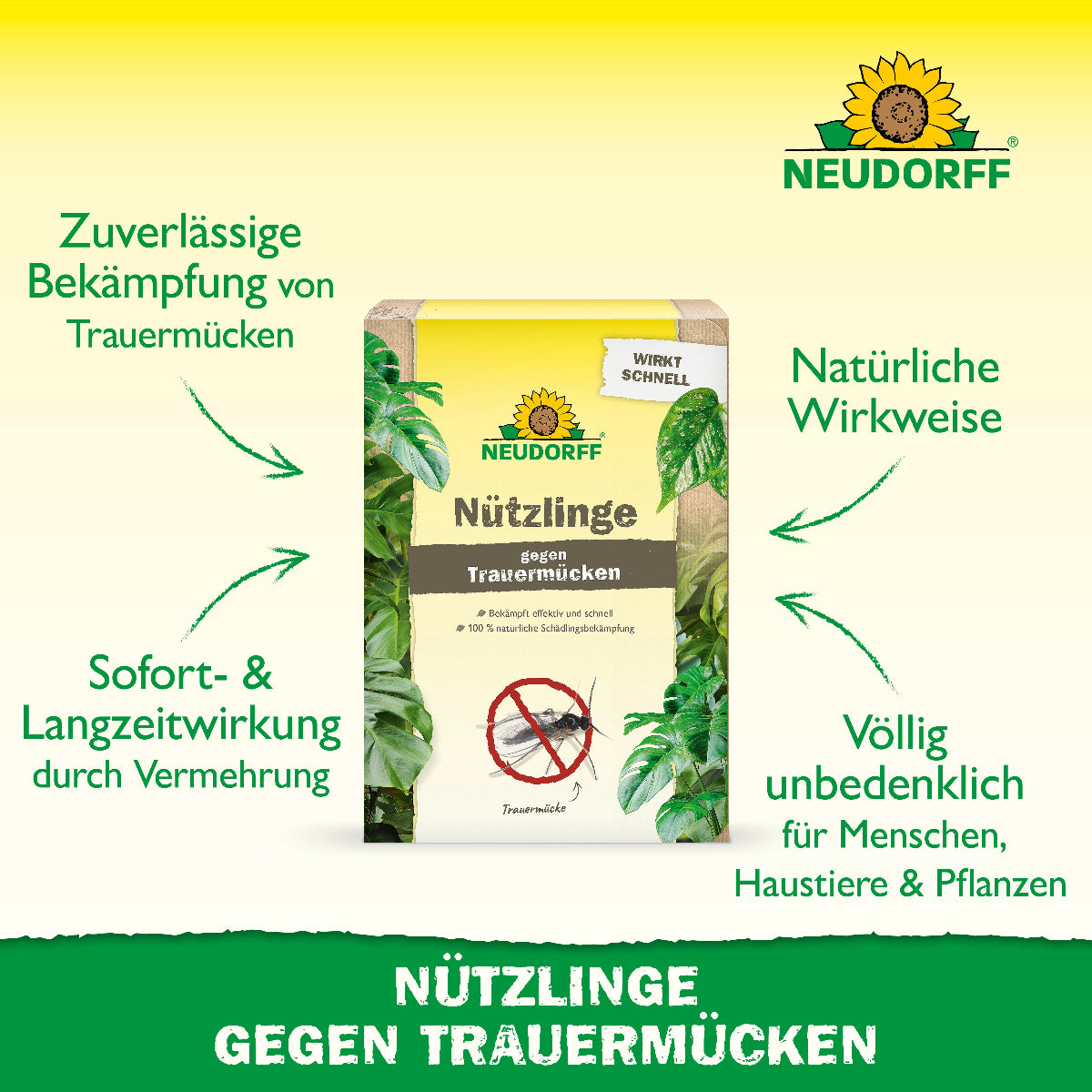 Neudorff Nützlinge gegen Trauermücken mit den vier wichtigsten Produktvorteilen
