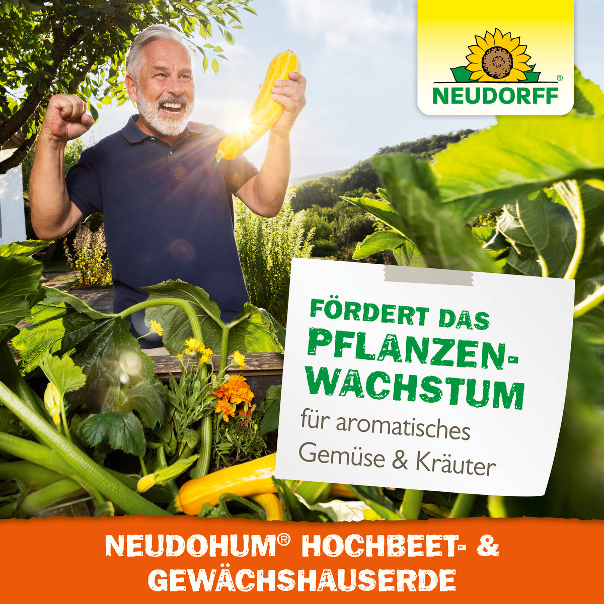 NEUDOHUM Hochbeet- und Gewächshauserde fördert das Pflanzenwachstum