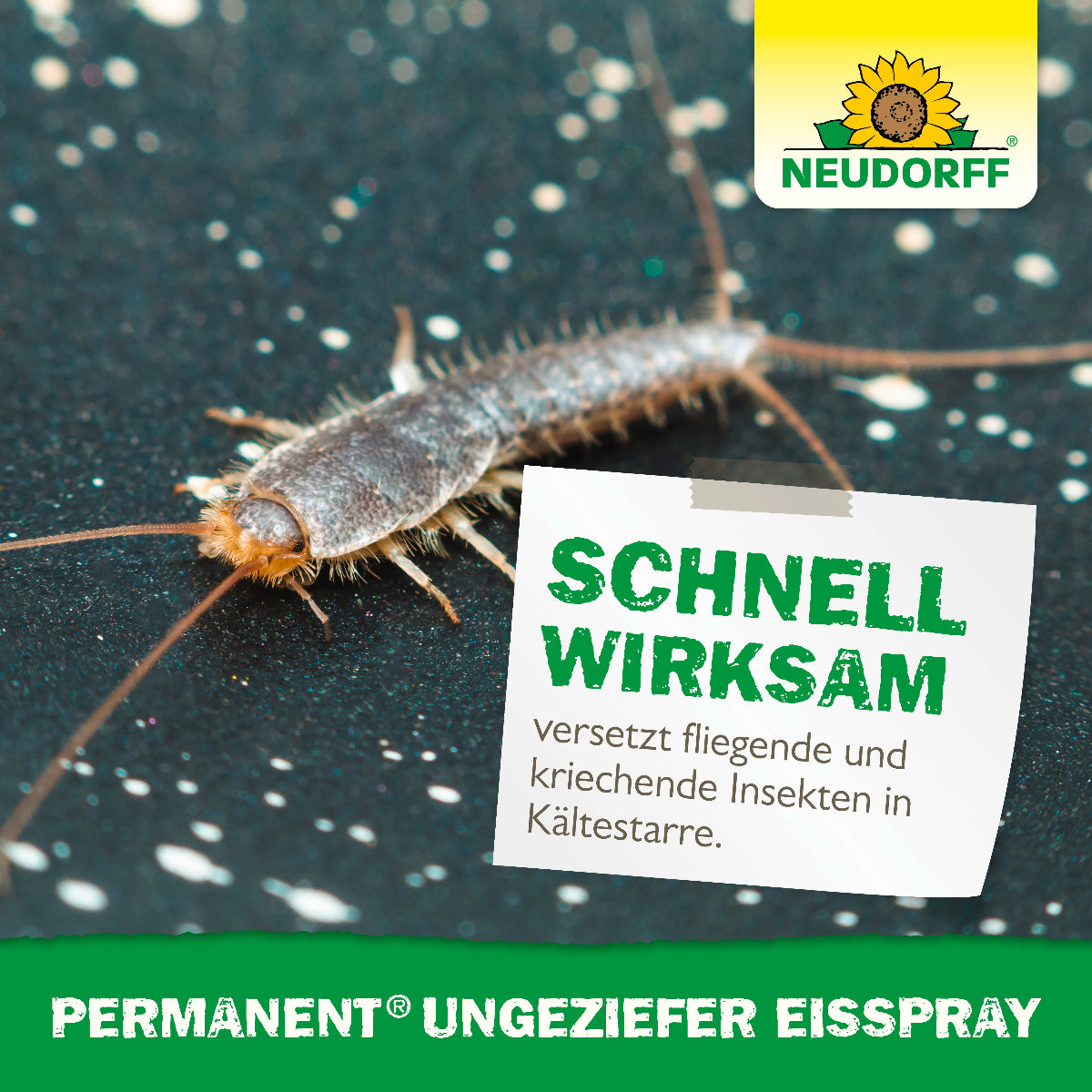 Permanent UngezieferEisspray von Neudorff versetzt fliegende und kriechende Insekten in Költestarre