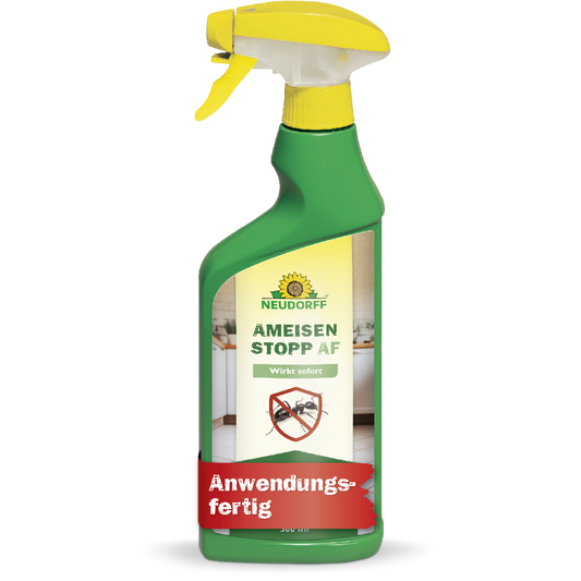 AmeisenStopp AF