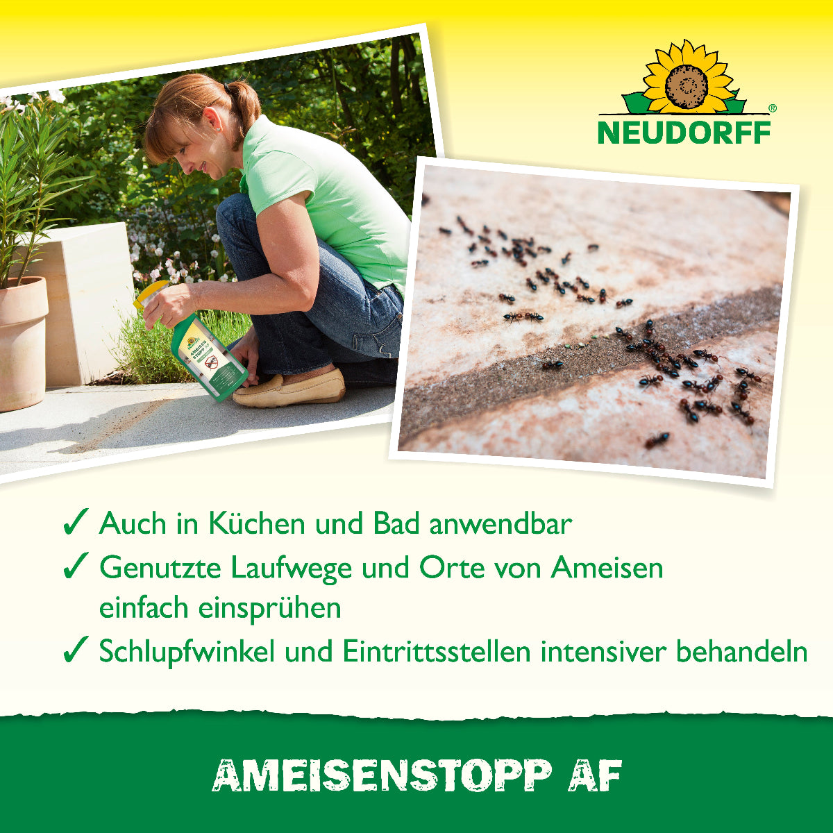 Genutzte Laufwege und Orte von Ameisen einfach einsprühen: Der anwendungsfertige AmeisenStopp AF von Neudorff sorgt in Küche und Bad für eine ameisenfreie Zone