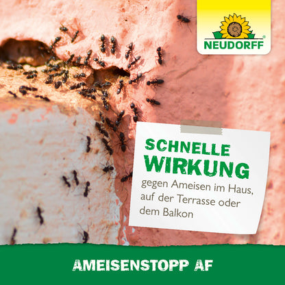 AmeisenStopp AF von Neudorff für eine schnelle Vertreibung von Ameisen im Haus, auf der Terrasse und dem Balkon