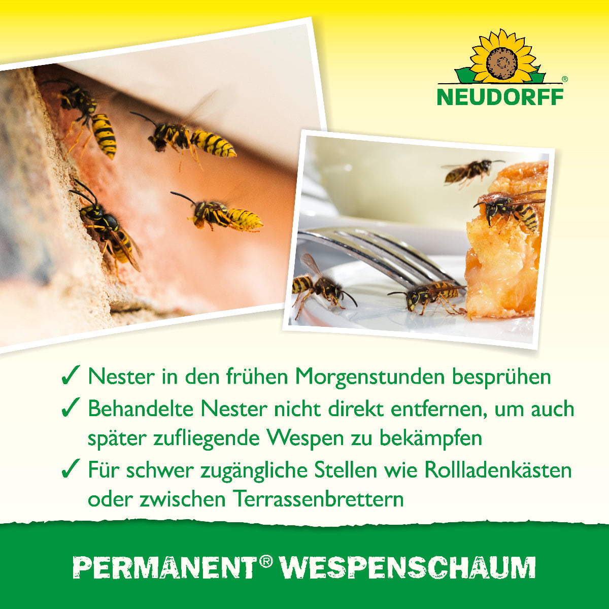 Permanent Wespenschaum von Neudorff bekämpft Wespen auch an schwer zugänglichen Stellen