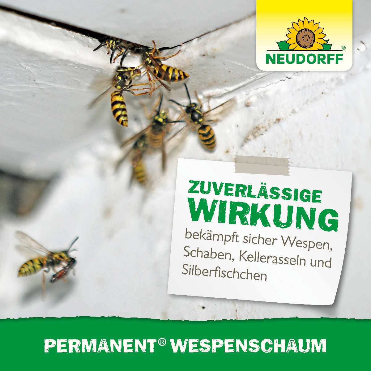 Permanent Wespenschaum von Neudorff bekämpft Wespen, Schaben, Kellerasseln und Silberfische zuverlässig