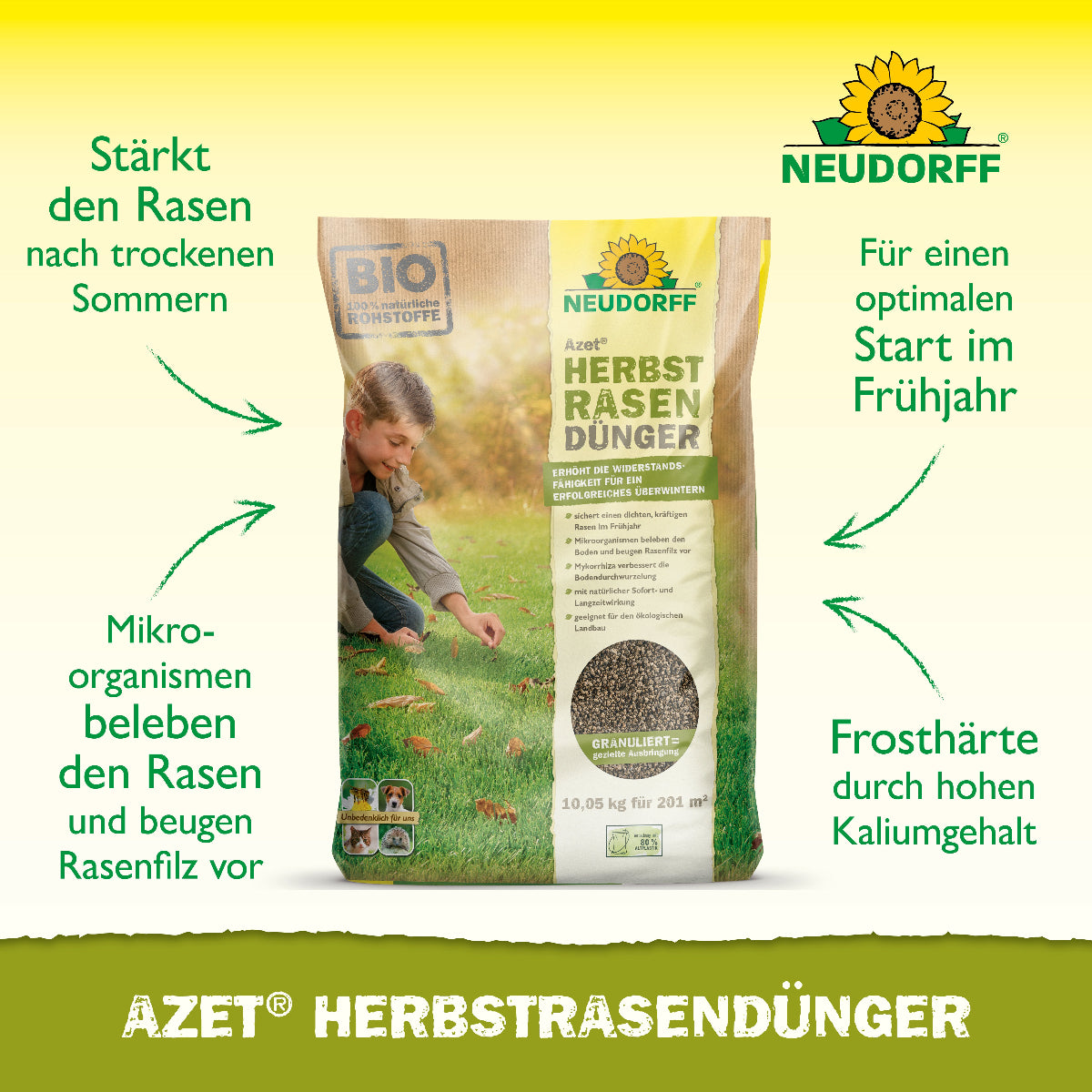 Azet HerbstrasenDünger von Neudorff stärkt den Rasen nach trockenen Sommern